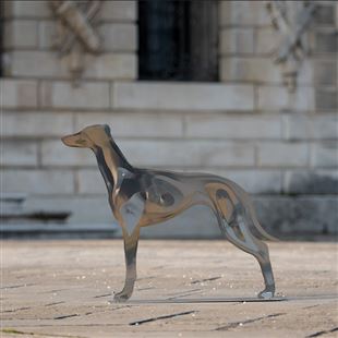 Connessione e amore per gli animali: foto e sculture