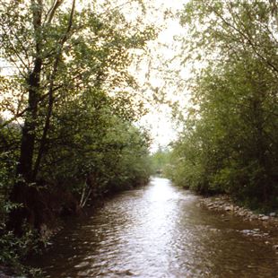 Lavori sul torrente Tiepido per il ripristino delle sponde